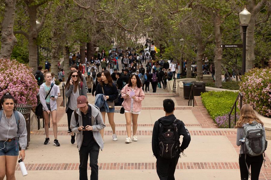 Many students walking down Bruin Walk